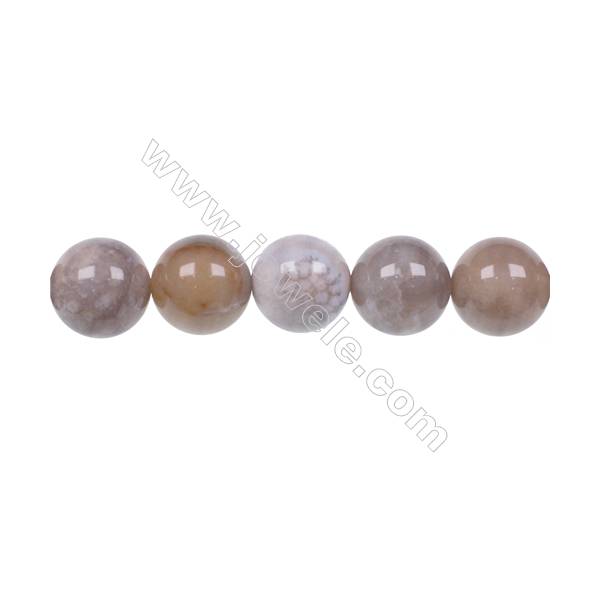 Natural fossil coral agate strand beads 12mm  hole 1.2mm  32 beads/strand  15~16"