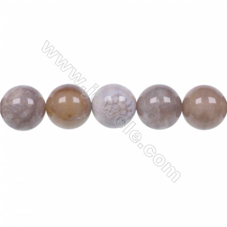 Natural fossil coral agate strand beads 12mm  hole 1.2mm  32 beads/strand  15~16"