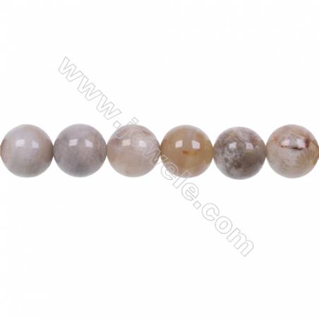 Natural fossil coral agate strand beads 10mm jewelry making  hole 1mm  39 beads/strand  15~16"