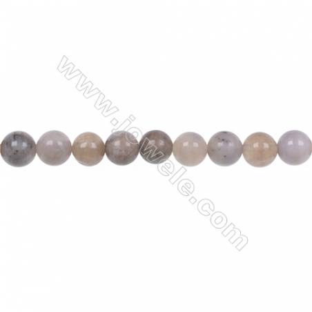 Natural fossil coral agate strand beads 6mm jewelry making  hole 1mm  67 beads/strand  15~16"