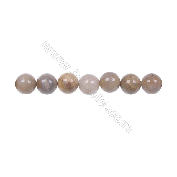 Wholesale Indonesia jasper strand beads in diameter 8mm hole 1mm  49 beads/strand 15~16‘’