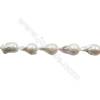 Natural Fresh Water Pearl  White   Size 26~33x14~19 mm  Hole 0.7mm  15~16"/strand