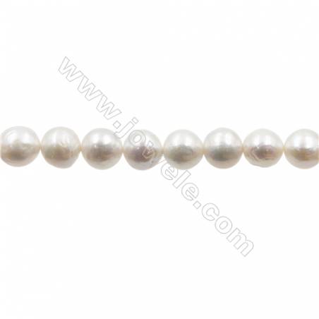 Perles culturelles perles d'eau douce blanche sur fil  Taille 10~11x11~12mm  trou 0.7mm  x1fil 15~16"