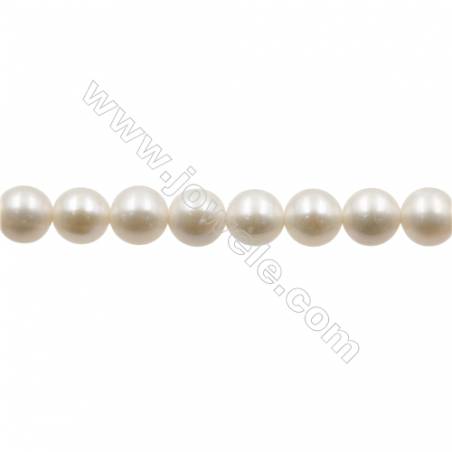 Natural Fresh Water Pearl  White  Size 6.5~7 mm  Hole 0.7mm  15~16"/strand