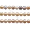 Perlas de agua dulce cultivada natural Multicolor Tamaño11~12mm Agujero0.7mm Longitud 39-40cm/tira