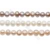 Multicolor Natural Fresh Water Pearl  Size 7~8mm  Hole 0.7mm  15~16"/strand