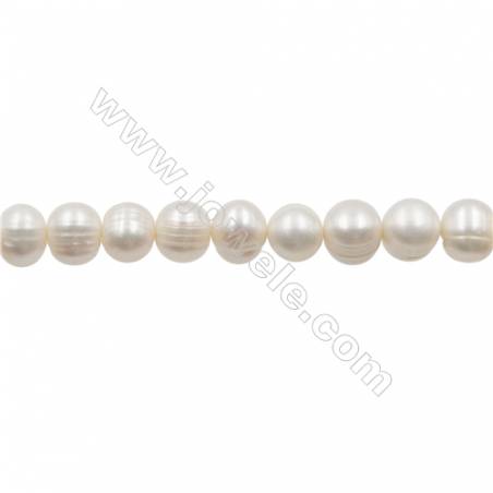 Natural Fresh Water Pearl  White  Size 10~11 mm  Hole 0.7mm  15~16"/strand