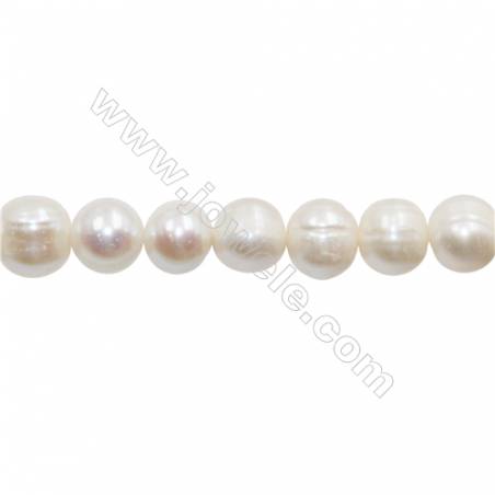 白色天然淡水珍珠 尺寸 約10~11毫米 孔徑 約0.7毫米 x1條 15~16"