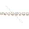 Perles culturelles perles d'eau douce blanche sur fil  Taille 10~11mm  trou 0.7mm x1fil 15~16"