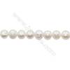 Perles culturelles perles d'eau douce blanche sur fil  Taille 11~12mm  trou 0.7mm x1fil 15~16"