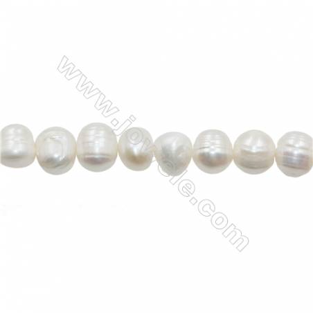 白色天然淡水珍珠 尺寸 約11~12毫米 孔徑 約0.7毫米 x1條 15~16"