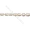 Natural Fresh Water Pearl  White  Size 11~12mm  Hole 0.7mm  15~16"/strand