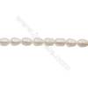 Perles culturelles perles d'eau douce blanche sur fil  Taille 10~11mm  trou 0.7mm x1fil 15~16"