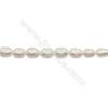 Natural Fresh Water Pearl  White Size 10~11mm  Hole 0.7mm  15~16"/strand