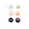 Multicolor Fresh Water AAA Grade Half-Drilled Pearl Beads  Flat Back  Diameter 6~6.5mm  Thick 4mm  Hole 0.8mm  116pcs/card