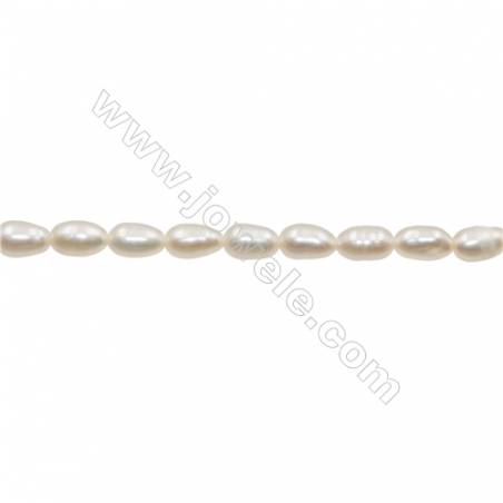 Natural Fresh Water Pearl  White  Size 5~6mm  Hole 0.4mm  13~14"/strand