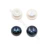 天然淡水珍珠 多彩半孔麵包珠 等級AAA 直徑 11~12毫米 厚度 8毫米 孔徑 0.8毫米 32個/板