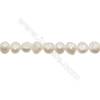 Perles culturelles perles d'eau douce multicolore teintée sur fil  Taille 11~12mm  trou 0.7mm x1fil 15~16"