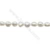 Multicolor Natural Fresh Water Pearl  (Dyed) Size 12~15mm  Hole 0.7mm  15~16"/strand