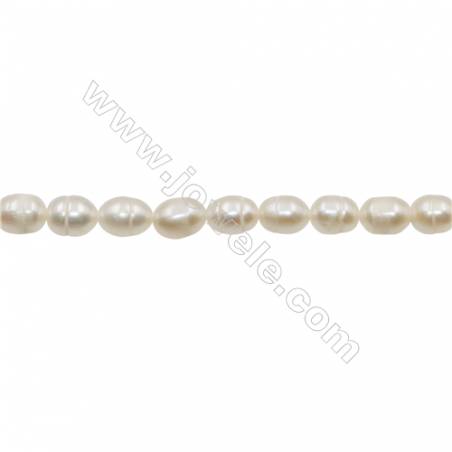 Multicolor Natural Fresh Water Pearl  (Dyed) Size 6~7mm  Hole 0.7mm  15~16"/strand