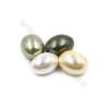 電鍍多彩蛋形貝殼半孔珠 尺寸15x20毫米 孔徑1毫米 15個/包