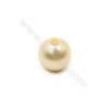 Eletroplating Colorful Shell Pearl Beads Single Beads  Round  Diameter 12mm  Hole about 2.5mm  50pcs/pack