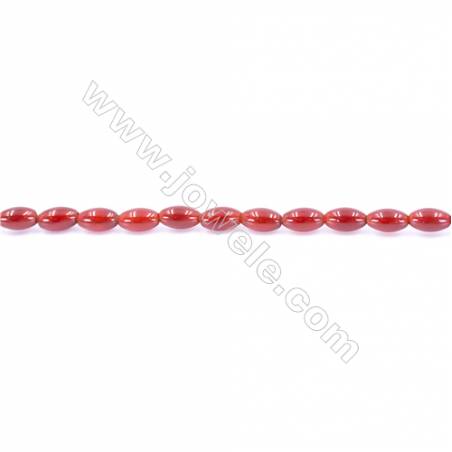 Natural Red Agate Beads Strand  Rice  Size 5x8mm  Hole: 1mm  about 49 beads/strand  15~16‘’