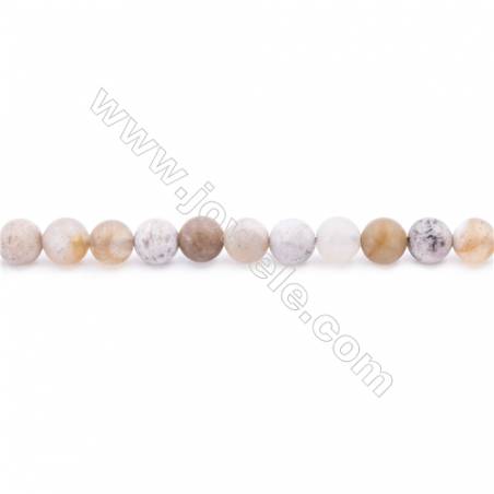 Frosted Fossil Coral Agate Beads Strand  Round  Diameter 6mm  hole 1mm  about 65 beads/strand 15~16"