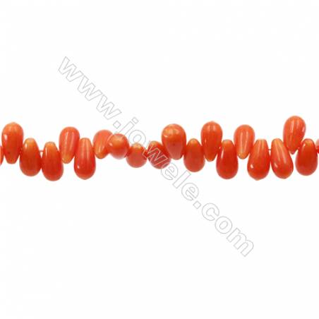 Multi-Color Dyed Coral Teardrop Beads Strand Size 5x8mm Hole 0.8mm About 118 Beads/Strand 15~16"