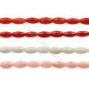 Various Colors Coral Rice Beads Strands, Dyed, Size 3x6mm, Hole 0.7mm, about 63 pcs/strand 15~16"