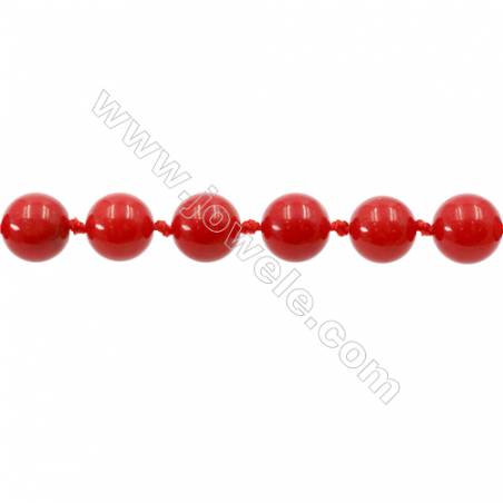Multi-Color Dyed Coral Round Beads Strand Diameter 8mm Hole 1mm About 50 Beads/Strand 15~16"
