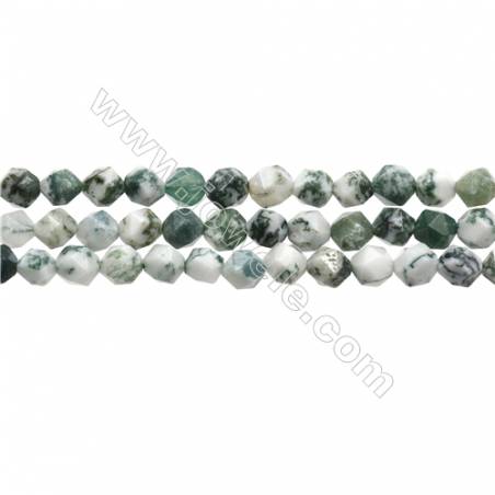 Grade A Natural Tree Agate Beads Strands, Star Cut Faceted, Size 6x6mm, Hole 0.8mm, 15~16''/strand