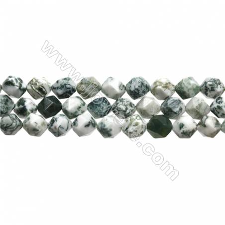 Grade A natürlicher Baumachat Perlenkette  Stern Schnittwinkel 10x10mm Durchmesser des Loch 0.8mm   15~16"/ Strang