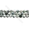 Grade A Natural Tree Agate Beads Strands, Star Cut Faceted, Size 10x10mm, Hole 0.8mm, 15~16''/strand