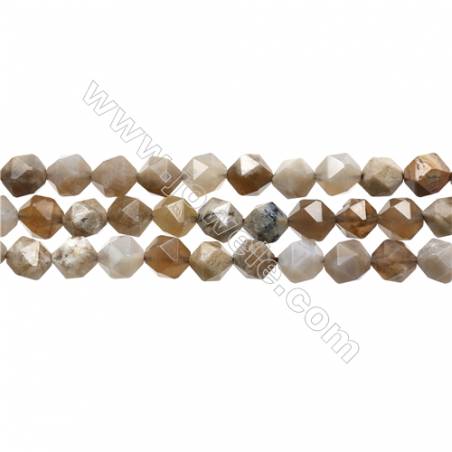 Natural Ocean Fossil Coral Agate Gemstone Beads Strand, Star Cut Faceted, Size 8x8mm, Hole 0.8mm, 15~16"/strand