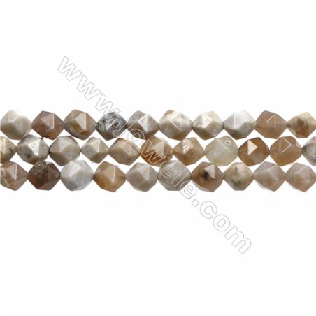 Natural Ocean Fossil Coral Agate Gemstone Beads Strand, Star Cut Faceted, Size 10x10mm, Hole 1mm, 15~16"/strand