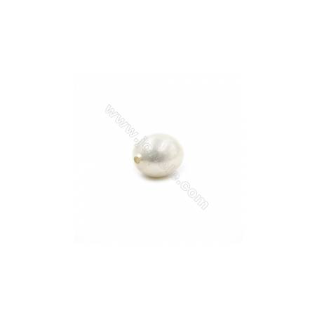 Bunt Muschel halb gebohrte Perlen  galvanisch  oval  13x16mm  Loch 1mm  10 Stck/Packung