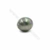Bunt Muschel halb gebohrte Perlen  galvanisch  oval  8x10mm  Loch 1mm  10 Stck/Packung