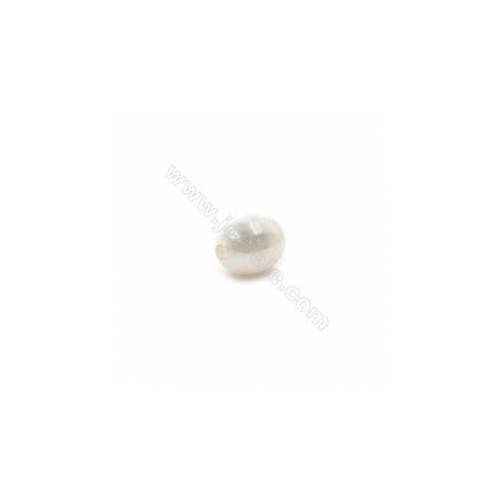 Bunt Muschel halb gebohrte Perlen  galvanisch  oval  6x8mm  Loch 0.8mm  10 Stck/Packung