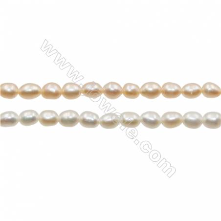 Natural perla de agua dulce  color mezclado Tamaño3~4mm Agujero 0.4mm x1tira 15~16 "