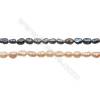 Perles culturelles perles d'eau douce arc-en ciel ou pêche sur fil  Taille 3~4mm  trou 0.4mm x1fil 15~16"