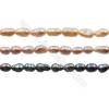 Multicolor Natural Fresh Water Pearl, (Dyed), Size 4~5mm, Hole 0.4mm, 15~16"/strand