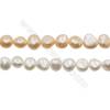 Multicolor Natural Fresh Water Pearl, (Dyed), Size 11~12mm, Hole 0.7mm, 15~16"/strand