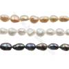 Natural perla de agua dulce  color mezclado Tamaño 12~15mm Agujero 0.7mm x1tira 15~16 "