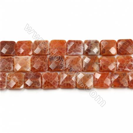 Natural Fire Agate Faceted Beads Strands, Square, Size 14x14mm, Hole 1mm, 15~16"/strand