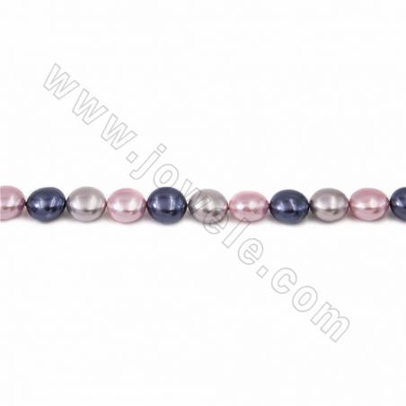 Filo di perle naturali della conchiglia della placcatura, 3 colori che si mescolano, moneta, dimensione circa 10x15mm, foro circ