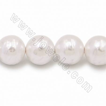 Filo di perle di conchiglia naturale, rotondo, bianco, dimensione circa 16 mm, foro circa 1 mm, 15~16"/filo