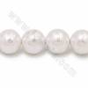 Filo di perle di conchiglia naturale, rotondo, bianco, dimensione circa 16 mm, foro circa 1 mm, 15~16"/filo