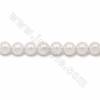 Filo di perle di conchiglia naturale, rotondo, bianco, dimensioni circa 10 mm, foro circa 1 mm, 15~16"/filare