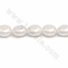 Perles Nacrée Galvanoplastie blanche rond plat sur fil Taille 15x25mm trou 1.5mm 15~16"/fil